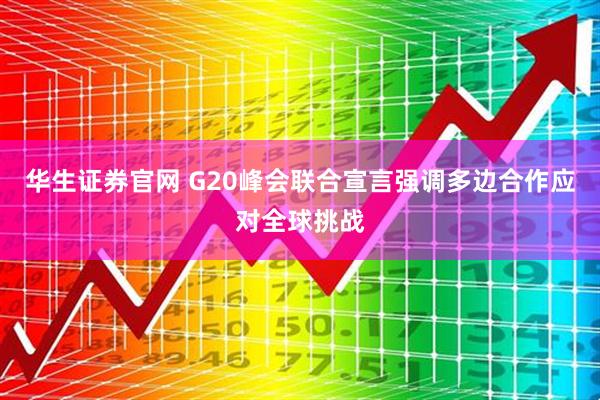 华生证券官网 G20峰会联合宣言强调多边合作应对全球挑战