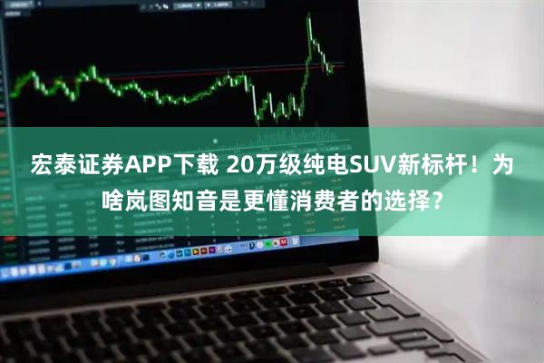 宏泰证券APP下载 20万级纯电SUV新标杆！为啥岚图知音是更懂消费者的选择？