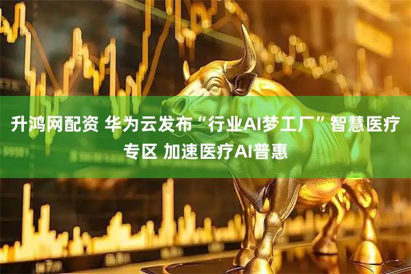 升鸿网配资 华为云发布“行业AI梦工厂”智慧医疗专区 加速医疗AI普惠