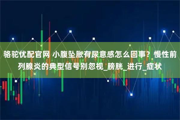 骆驼优配官网 小腹坠胀有尿意感怎么回事？慢性前列腺炎的典型信号别忽视_膀胱_进行_症状
